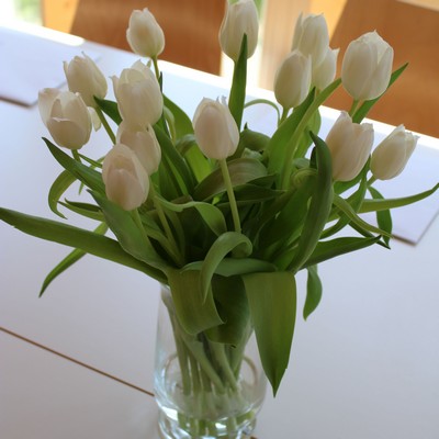 Bild002